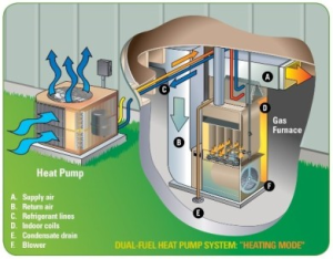 duel fuel system