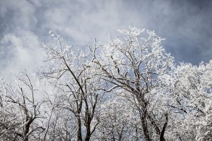 cold weather