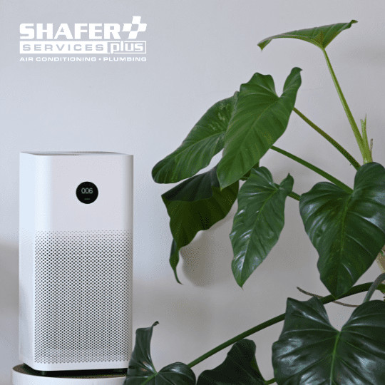 boost indoor air quality