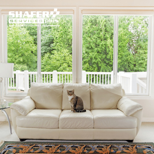 invest in energy efficient windows